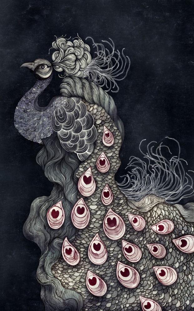 zs2a ZSO illustrations