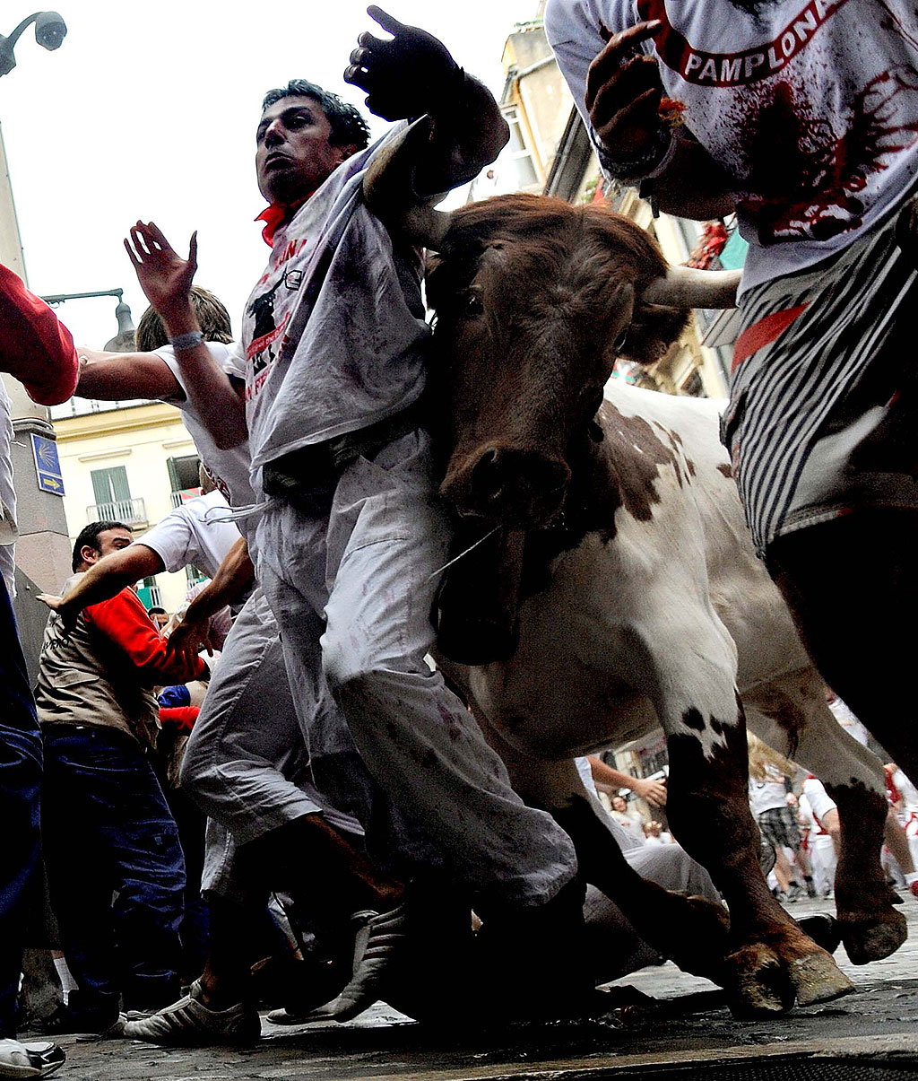 San Fermin 2011: Pamplonas Running of the Bulls 241 San Fermin 2011: Pamplonas Running of the Bulls