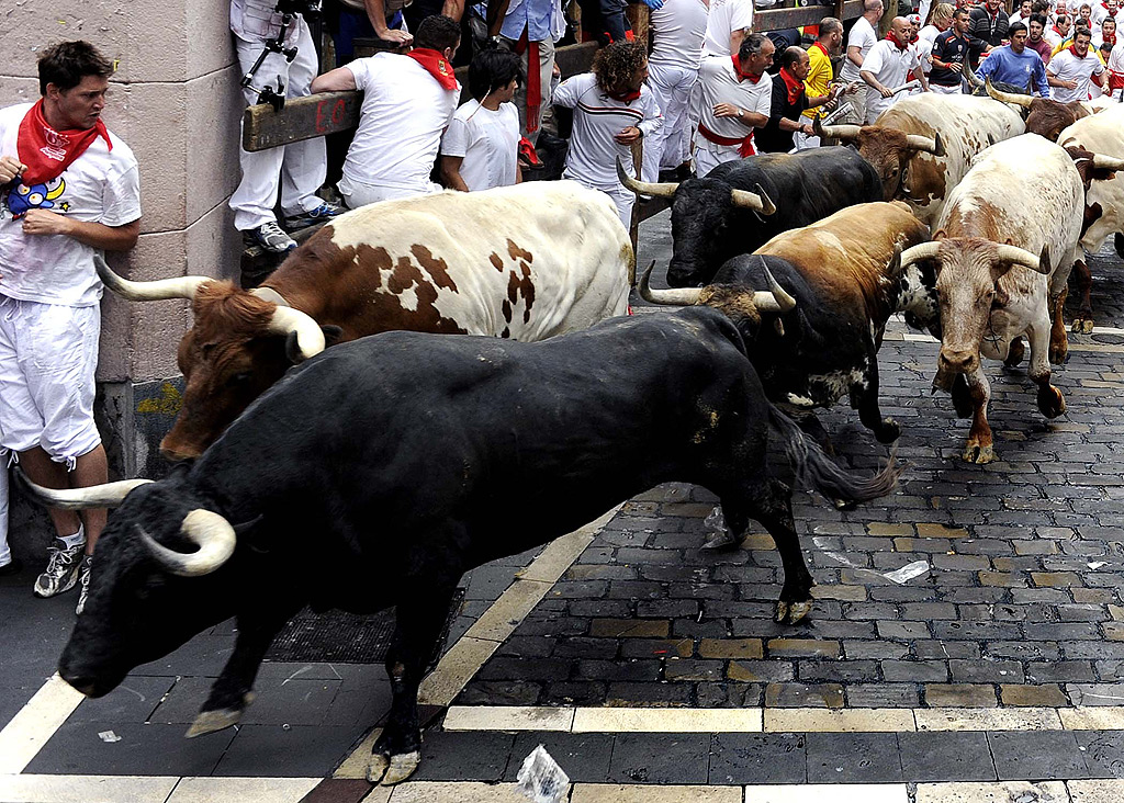 San Fermin 2011: Pamplonas Running of the Bulls 271 San Fermin 2011: Pamplonas Running of the Bulls