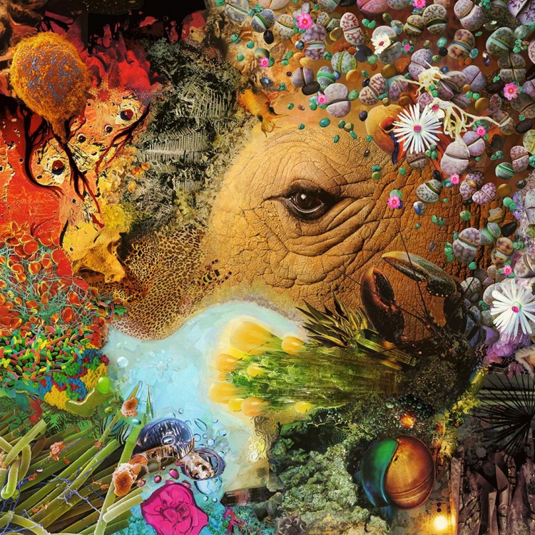 402571 750x750 pic on Design You Trust 402571 750x750 Collage Artwork by Pavel Shangin