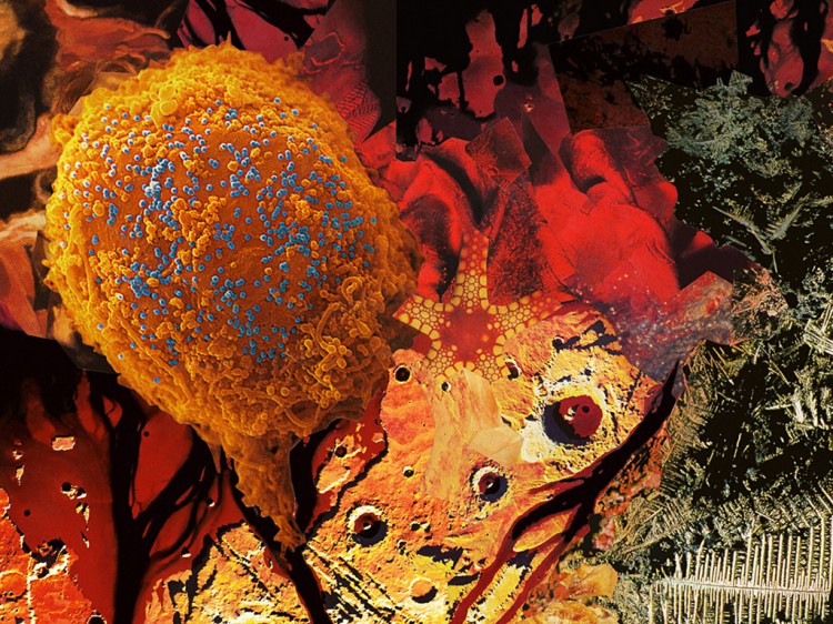 402572 750x562 pic on Design You Trust 402572 750x562 Collage Artwork by Pavel Shangin