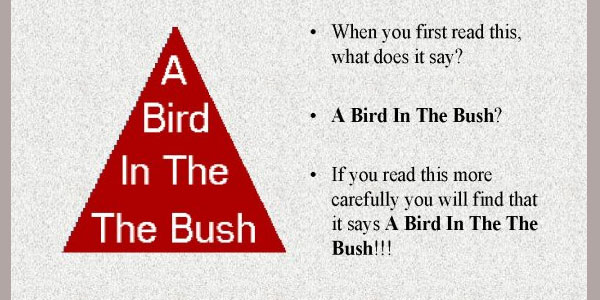 bird in the bush 3wohgxio3q pic on Design You Trust bird in the bush 3wohgxio3q 25 Brilliant Optical Illusions For Kids