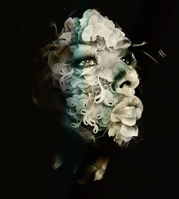 da5a Digital Art and Photo Manipulation