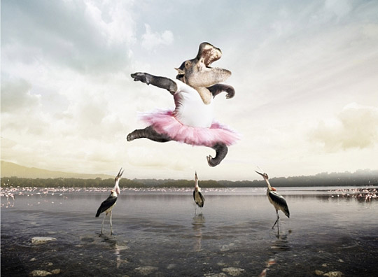 Daily Inspirations no. 213 di213a Daily Inspirations no. 213