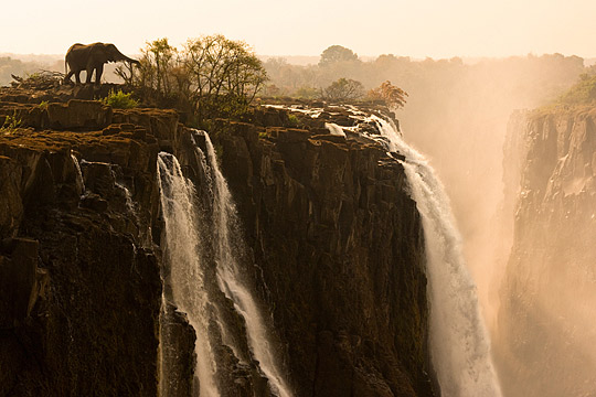 di213d Daily Inspirations no. 213