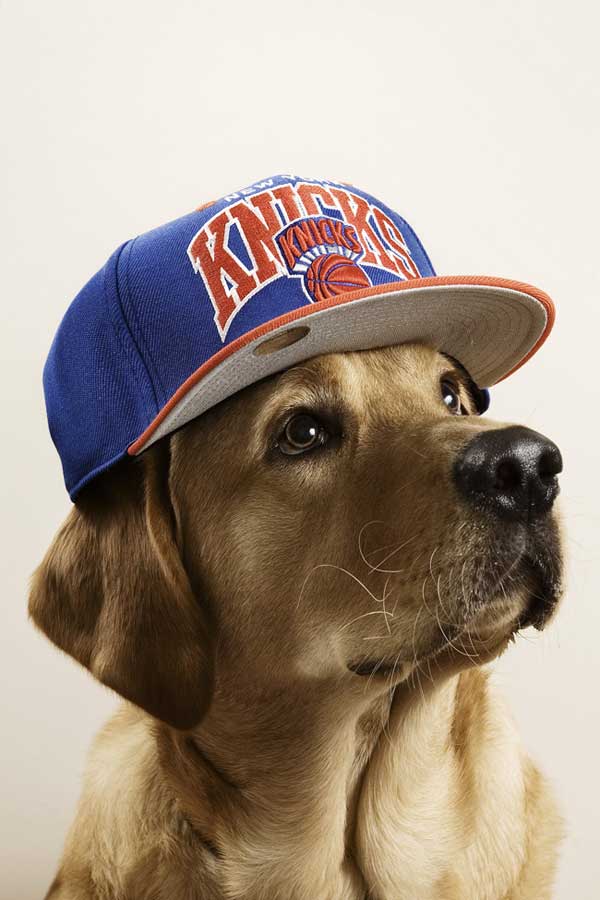 dogs with caps 6 pic on Design You Trust dogs with caps 6 Chimptown Dogs