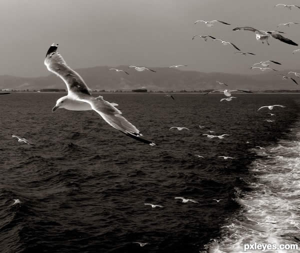 dp2b pic on Design You Trust dp2b Inspiring Dramatic Photography