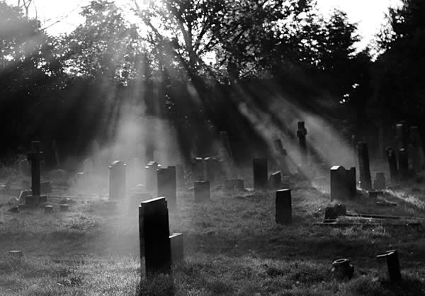 dp2c pic on Design You Trust dp2c Inspiring Dramatic Photography