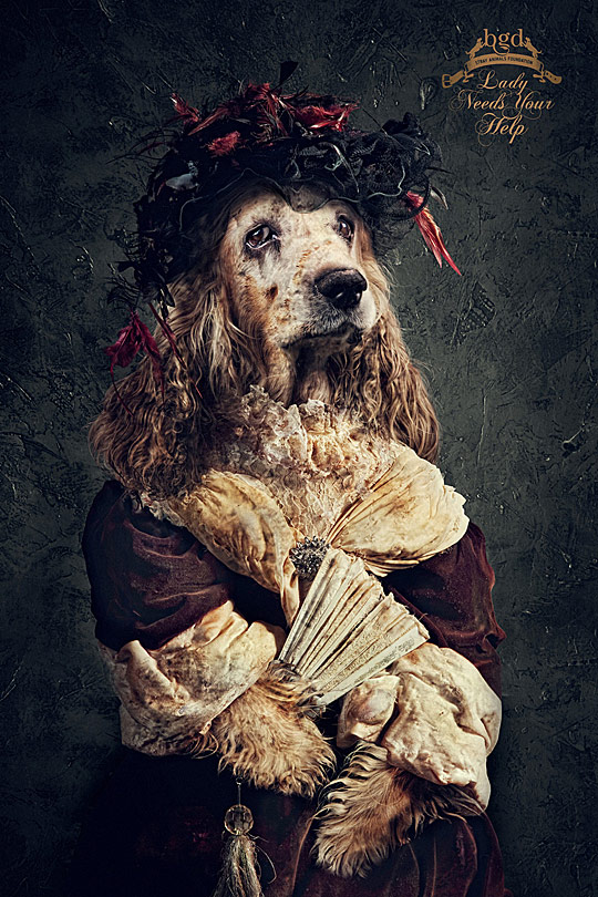 dyt117c DAILY INSPIRATIONS FOR DYT #117
