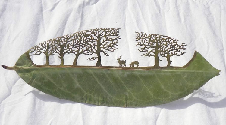 leafartcut 01 pic on Design You Trust leafartcut 01 Lorenzo Duran