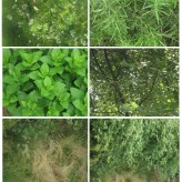 nature textures 164x164 Freebies daily updated