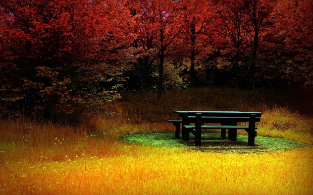 nw5c Charming Nature Photos For Wallpaper