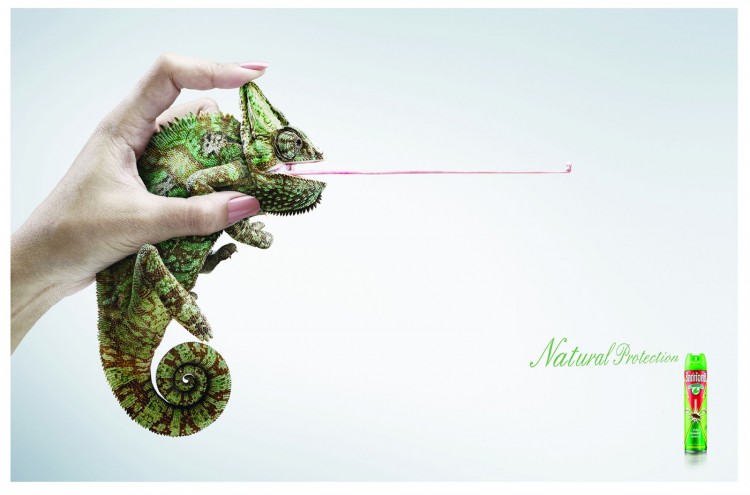 reckitt benckiser nature1 750x495 The Best 3 Photo Editing In June 2011