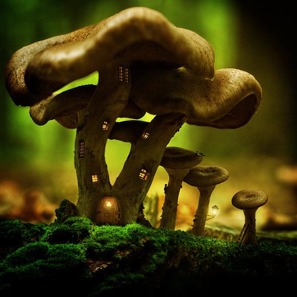 unnamed 4ylf0flyht pic on Design You Trust unnamed 4ylf0flyht Fantastic Scenes in Image by Jeannette Woitzik