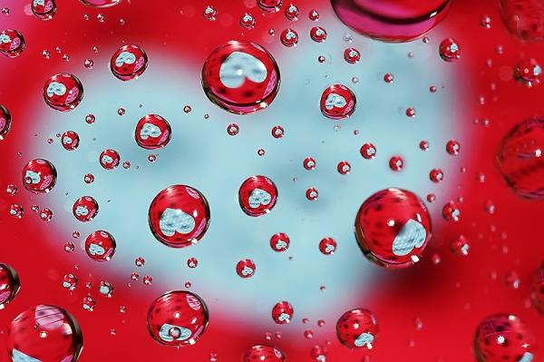 v 70dba19o5x Colorful Macro Shots by Nino Matasa