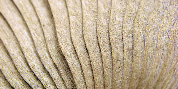 wooden fan 319x6wil7s pic on Design You Trust wooden fan 319x6wil7s 25 Awesome Wooden Textures