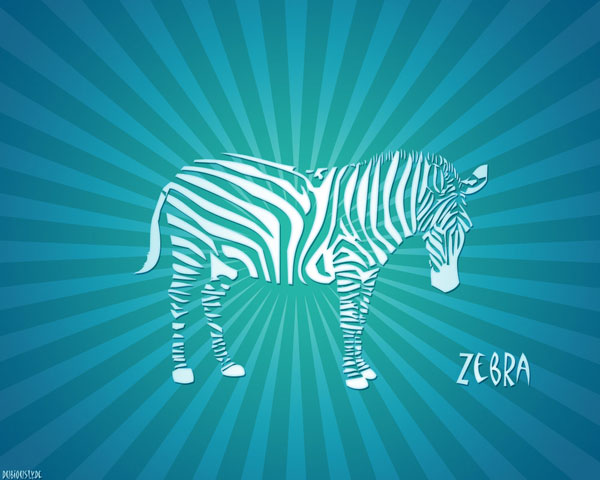 zebra wallpaper ffhpahiata 25 Beautiful Zebra Wallpapers
