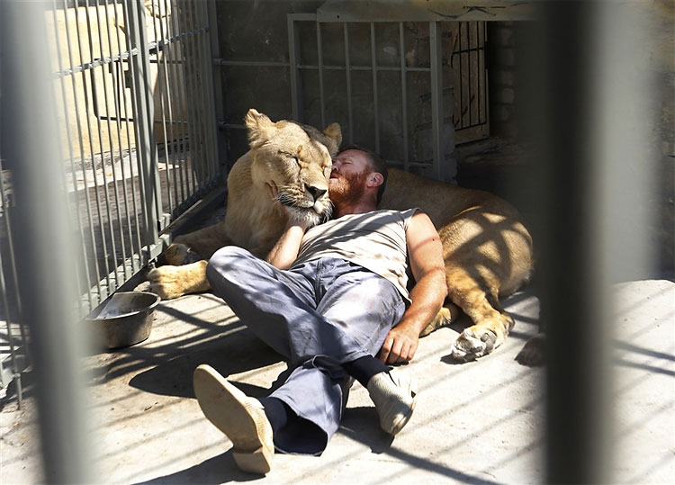 115 pic on Design You Trust 115 Ukrainian Painter and Zoo Owner Plans Five Week Stay in Lions Cage
