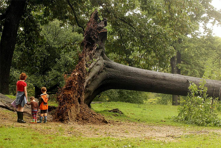 2314 US Braces for Hurricane Irene