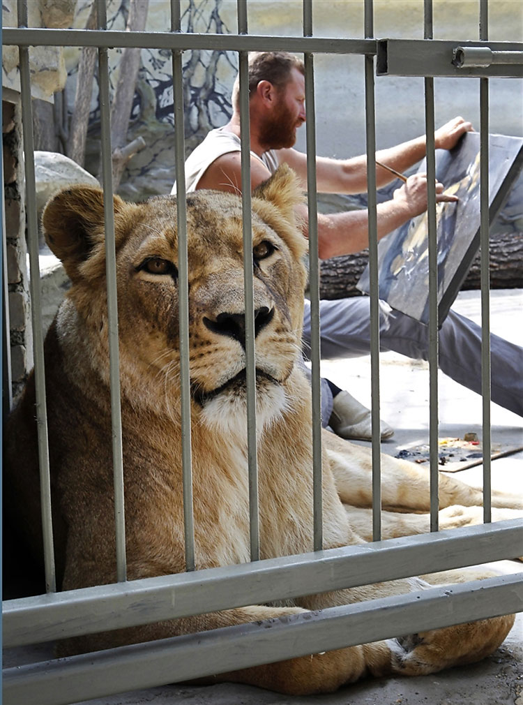 29 pic on Design You Trust 29 Ukrainian Painter and Zoo Owner Plans Five Week Stay in Lions Cage