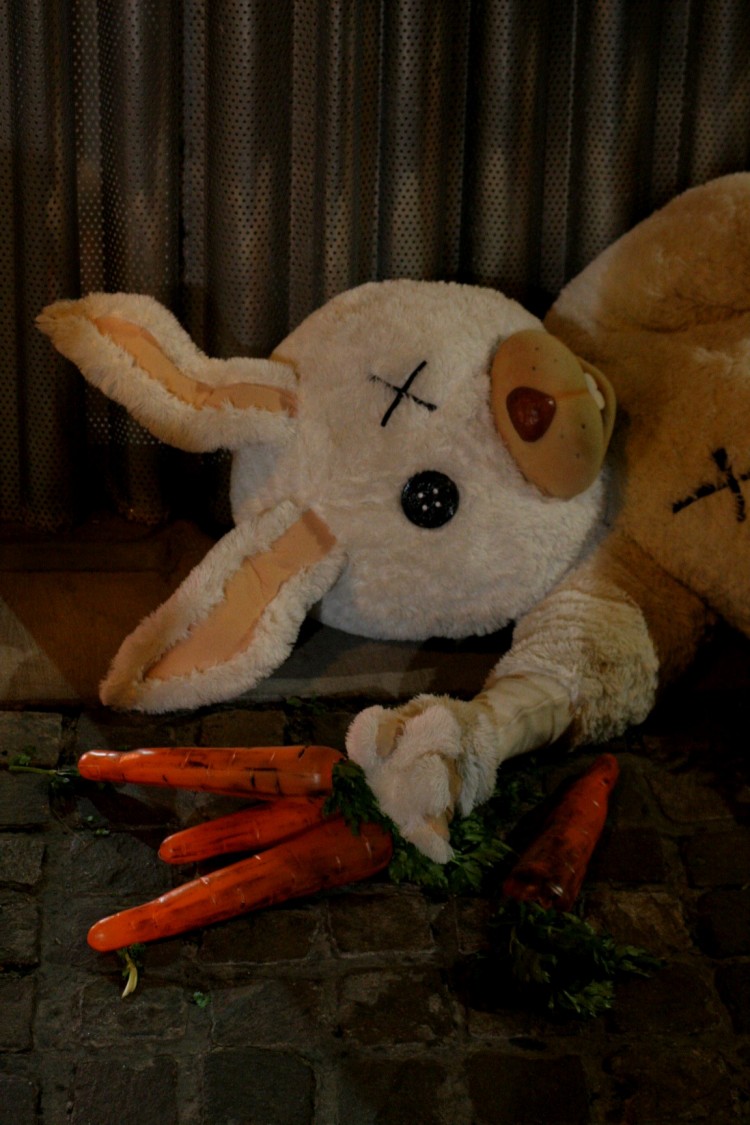 IMG 0843 750x1125 pic on Design You Trust IMG 0843 750x1125 Carrot´s overdose x x