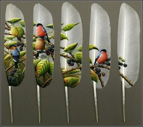 Feather Art by Ian Davie Ian Davie1 Feather Art by Ian Davie