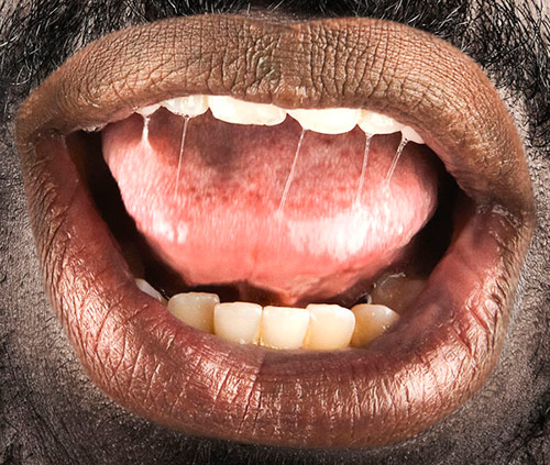 Mouth Photo 03 pic on Design You Trust Mouth Photo 03 The Human Mouth Photography