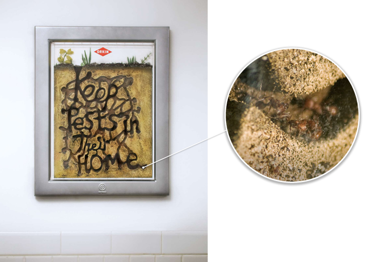 Orkin poster pic on Design You Trust Orkin poster Orkin Ant Farm by Rethink Canada