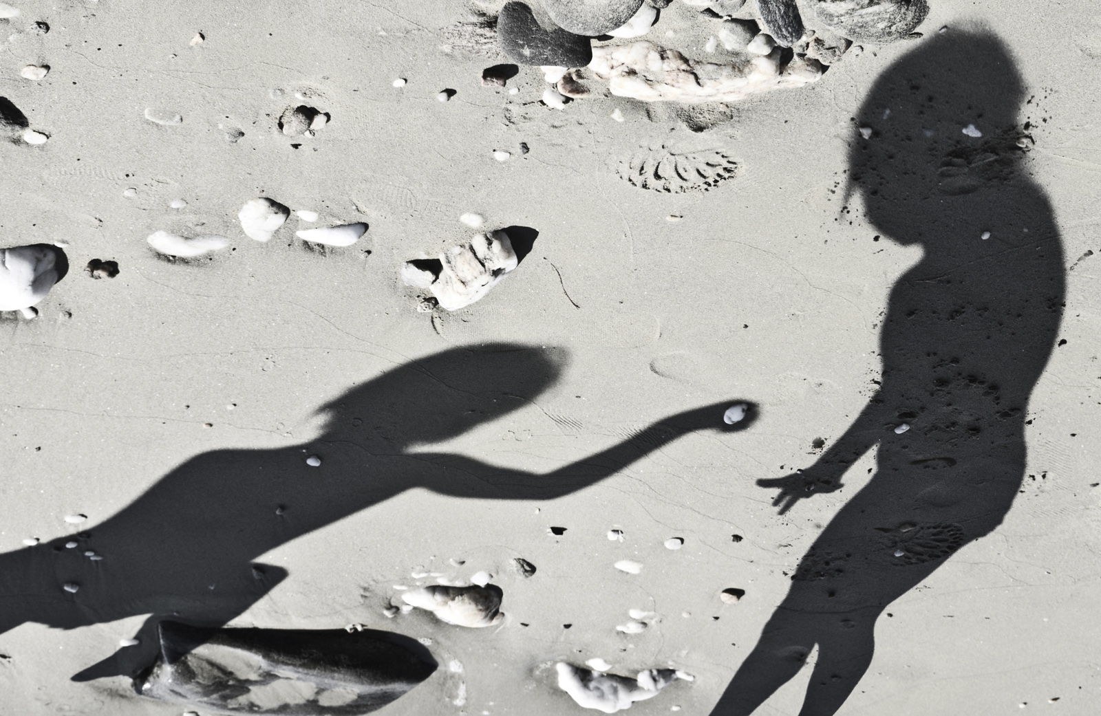 Shadows b2 pic on Design You Trust Shadows b2 Shadows