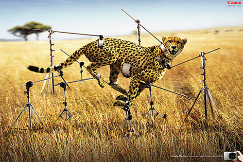 Steady shot 25 Inspiring Print Ads of 2011 – Amazingly Funny and Clever!!
