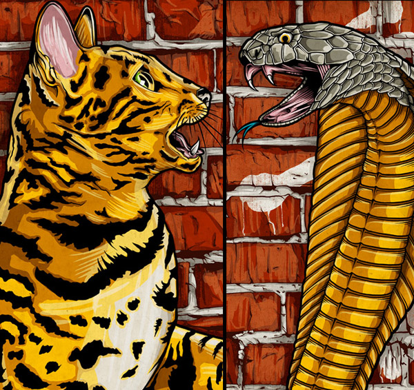 tiger vs cobra