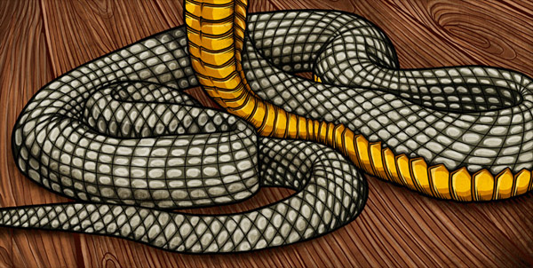 TigerDragon 5 pic on Design You Trust TigerDragon 5 Tiger and Dragon: by Pale Horse
