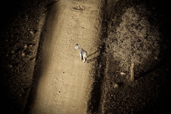 as5c pic on Design You Trust as5c Africa Sepia by João Victor Bolan