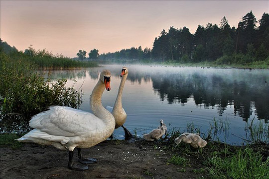 di220b Daily Inspirations no. 220