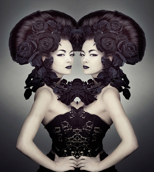 di229d Daily Inspirations no. 229