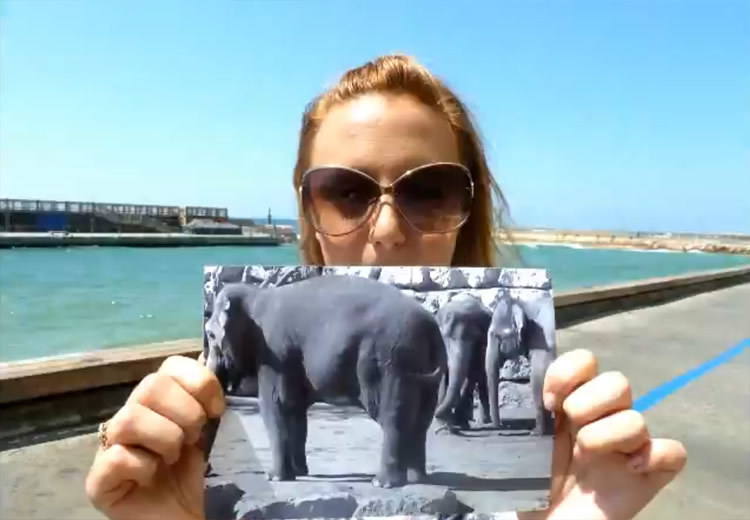 Frame by Frame: 500 People Hold Pictures in Front of the Camera eranamir 01 Frame by Frame: 500 People Hold Pictures in Front of the Camera