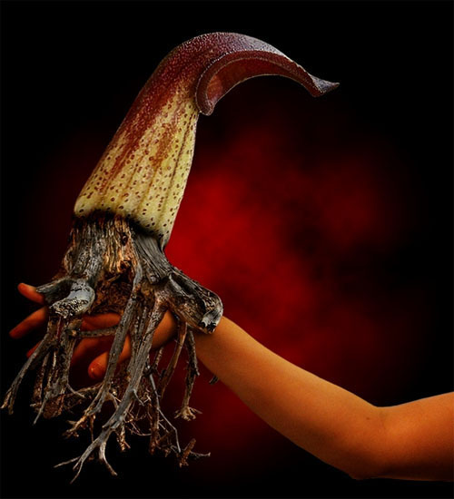 fantasy flower creature 40+ The Best Photoshop Tutorials For Stunning Photo Effects