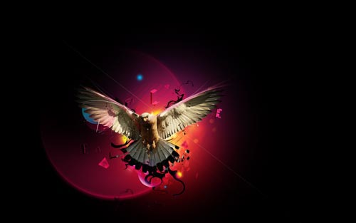 final pic on Design You Trust final Photoshop tutorial How To Create Colored Eagle Manipulation