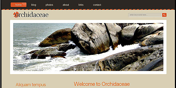 orchidaceae 5a7dpcf3kz pic on Design You Trust orchidaceae 5a7dpcf3kz 20 Professional Web Page Templates