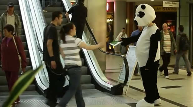 panda wwf Pandas in the mall. The greenest leaflet campaign for WWF.
