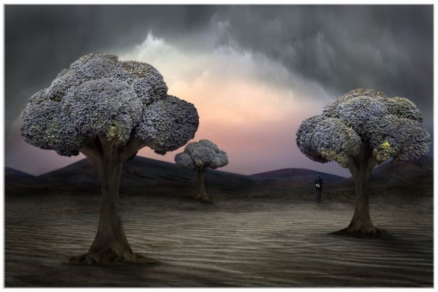 pd4b pic on Design You Trust pd4b Art Photography From Patrick Desmet