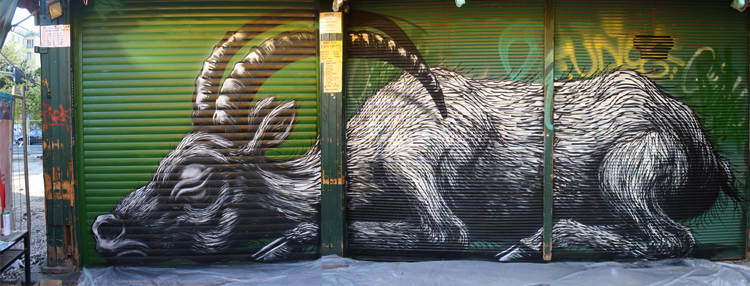 roa 1 pic on Design You Trust roa 1 ROA hits Vienna