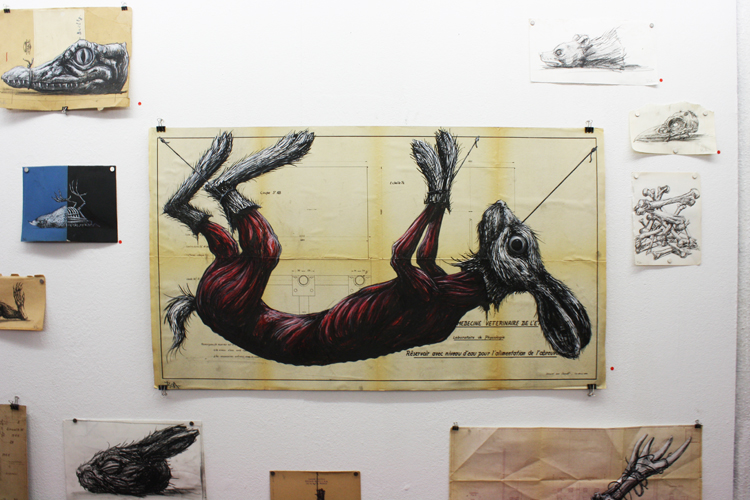 roa 2 pic on Design You Trust roa 2 ROA hits Vienna