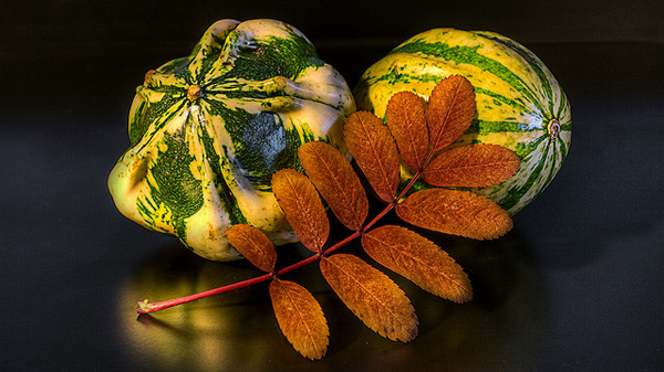 sl4c Still Life Photography Examples