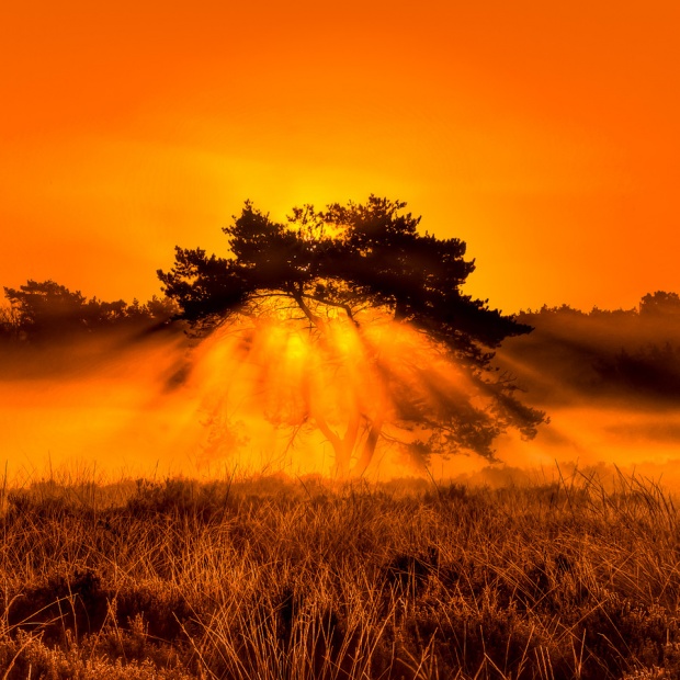 sp2a Golden Examples Of Sunrise Photos