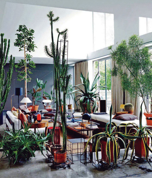 tumblr lpul6q7ATO1qjtvg7o1 500 The feel good home of Maurizio Zucchi