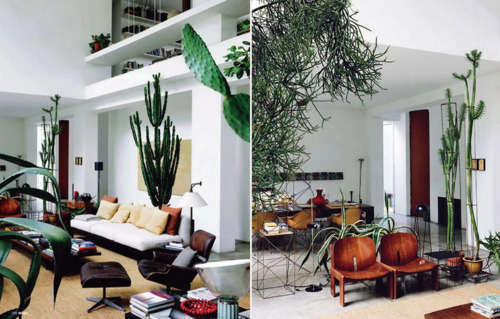 tumblr lpul6q7ATO1qjtvg7o2 500 The feel good home of Maurizio Zucchi