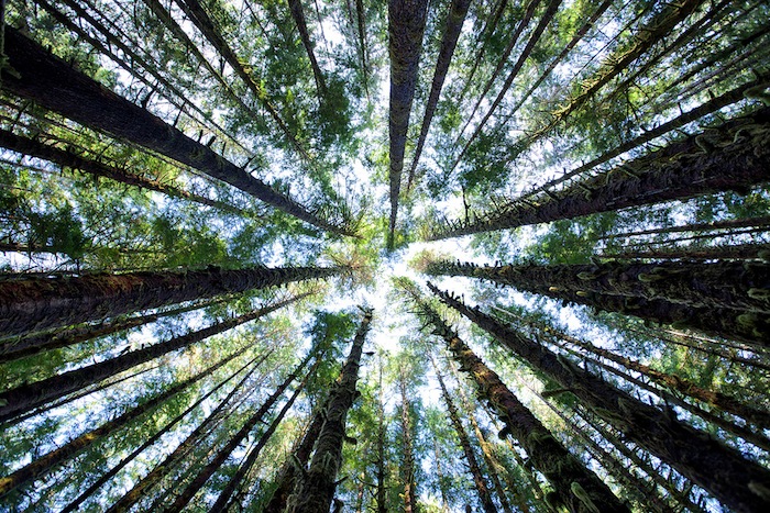  Aaron Reed