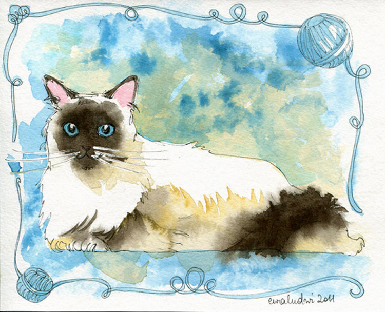 watercolor cat by ewaludwi d3bp0bz pic on Design You Trust watercolor cat by ewaludwi d3bp0bz Watercolour cats by Ewa Ludwiczak