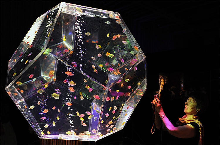 169 Exhibition in Tokyo Turns Aquarium into Works of Art